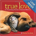 true love - stories of animal affection